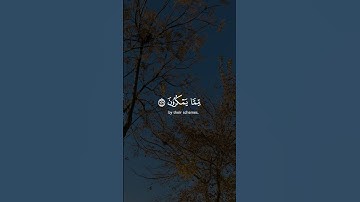 ولئن صبرتم وهو خير للصابرين #سورة_النحل #القارئ #خالد_الجليل #تلاوة_مميزة #قرآن #رمضان_كريم #راحة