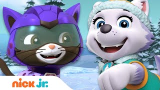 PAW Patrol &amp; Cat Pack Rescue a Baby Mountain Goat! w/ Everest &amp; Shade | Nick Jr.