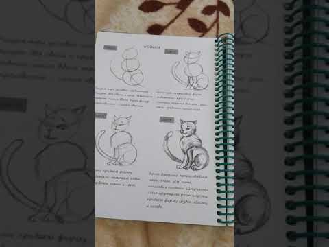 Книга чтобы рисовать животных