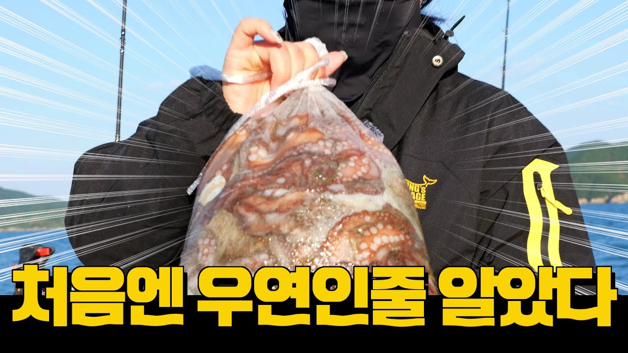 바다에서 최고로 영리한 생물 문어를 손쉽게 잡는 방법