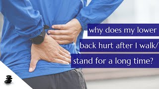 Why Does My Lower Back Hurt When I Stand/Walk for a Long Time? (and how to help it)