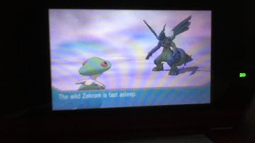 Crafty Guides: Soft Resetting!