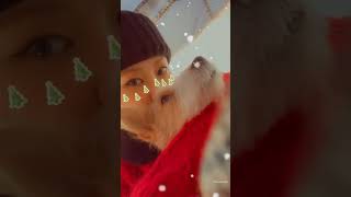 Blackpink Rosé Instagram Story With Hank