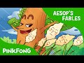 The Oak and the Reed | Aesop's Fables | PINKFONG Story Time for Children