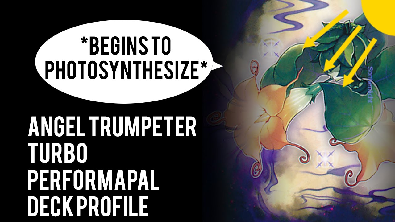 Angel Trumpeter Turbo Performapal Deck Profile - TYT Yugioh