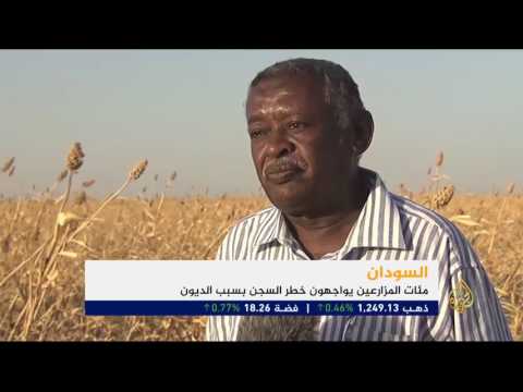تدهور أسعار الذرة يثير مخاوف المزارعين بالسودان