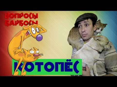 Как отучить собаку реагировать на кошек