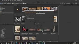 Customizable Export-Import: Customizing Fields
