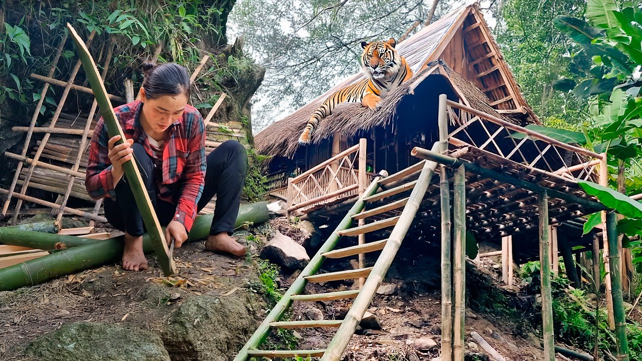 New life of a single girl, living alone in the forest | Húng Thị Bình ...