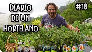 Diario De Un Hortelano #18 - TOMATADA En El Invernadero, Berenjenas Blancas Y RARAS