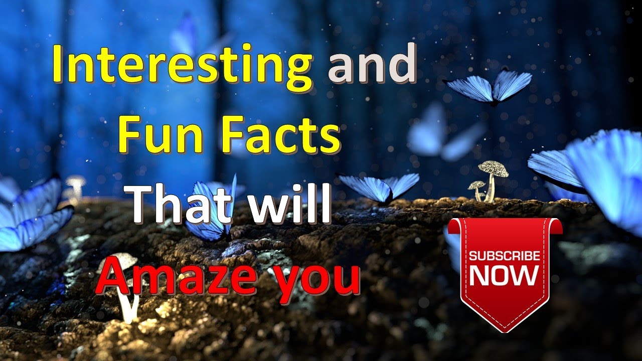 Interesting and Fun Facts That will Amaze you YouTube Interesting and Fun Facts That will Amaze you YouTube
