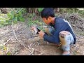 The Best Birds Trap! | DIY Birds Trap [Quick Birds Trap]