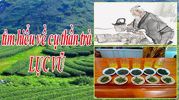 Giải Mã Tên Thương Hiệu Trà Tiên Lầu ( Trà Xanh Thái Nguyên) - Trà Tiên Lầu