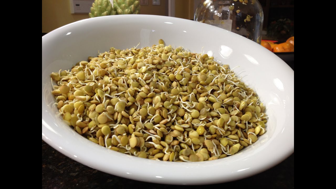granos germinados y diabetes
