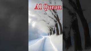 Surah Insan | #beautifulrecitation #quranurdutranslation