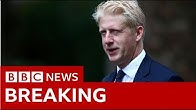 PMs brother quits as Tory MP and minister - BBC News