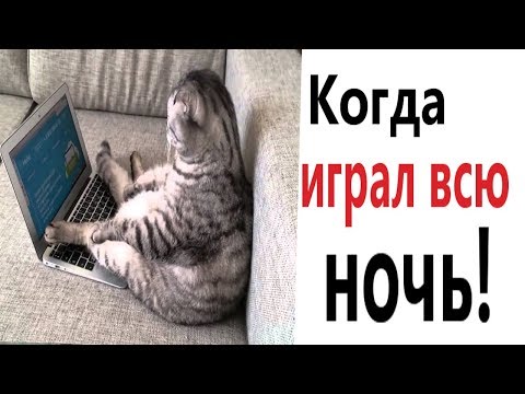 Лютые приколы. КОГДА ИГРАЛ ВСЮ НОЧЬ!!! Самое смешное видео! ТЕСТ НА ПСИХИКУ! – Domi Show!