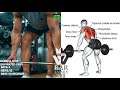 تمارين الضهر : تجديف البار . Barbell Row