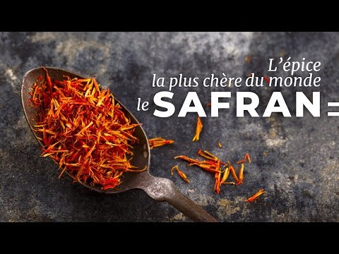 Le Safran : l'épice la plus convoitée du monde