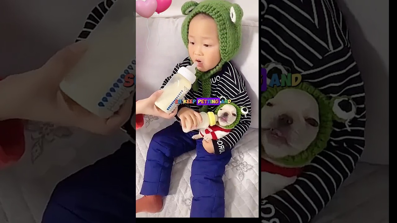 8 Reasons why you should pet your pet♥️– Heartwarming and Life-Changing! 