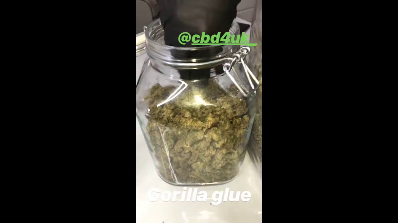 CBD Gorilla Glue @CBD4UK 