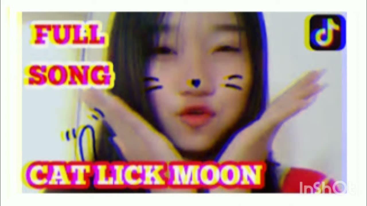 Cat Lick Moon (Tik Tok) YouTube