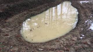 Water Wandering - Inspecting ponds after intense winter rain