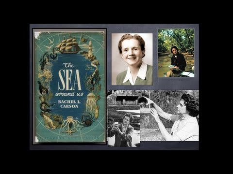 Video: Ảnh hưởng của Rachel Carson thay đổi như thế nào?