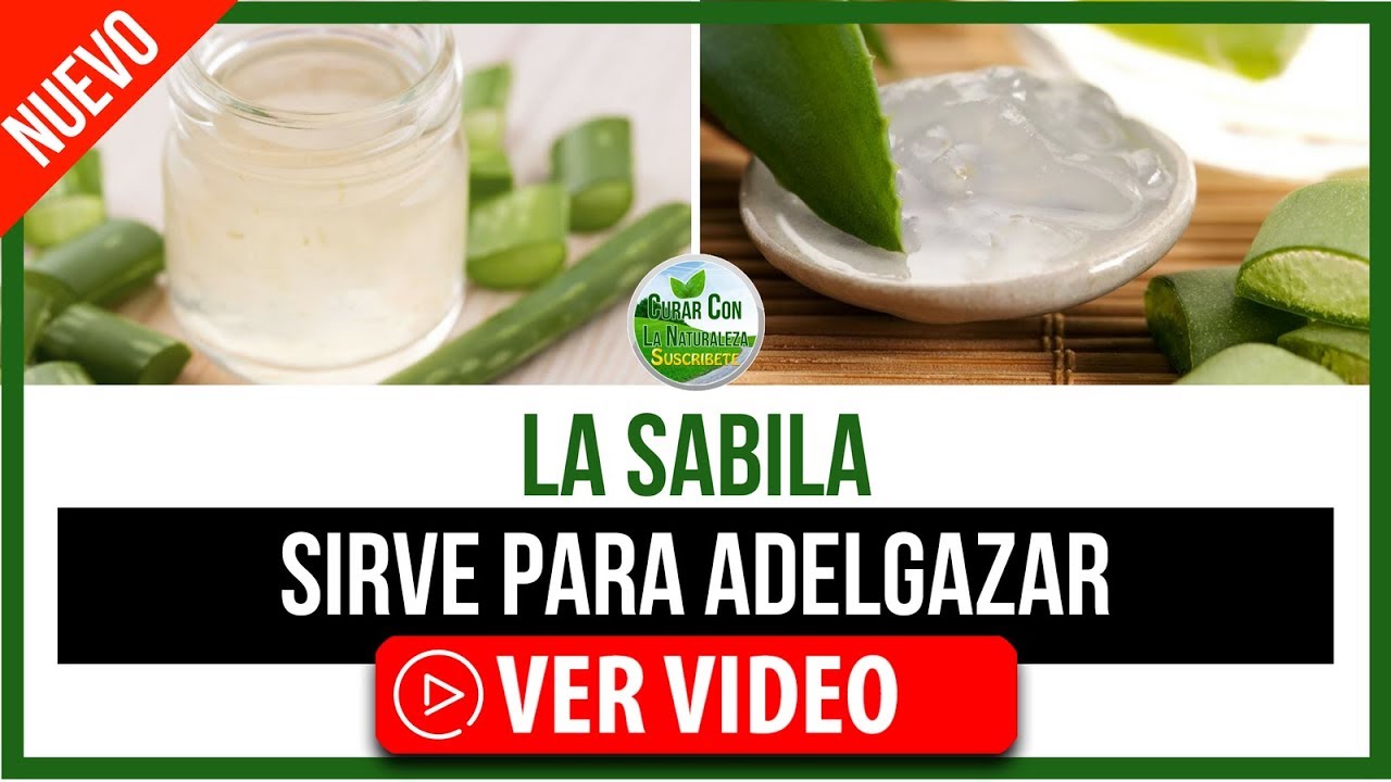 espirulina para adelgazar precious lord espirulina para adelgazar precious lord