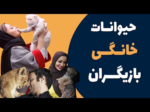 تصویری: نحوه انتخاب نام مستعار برای حیوان خانگی