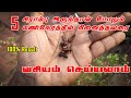 5 மணிநேரத்தில் நினைத்தவரை வசியம் செய்ய | Pen Vasiyam | U Tube Kennady