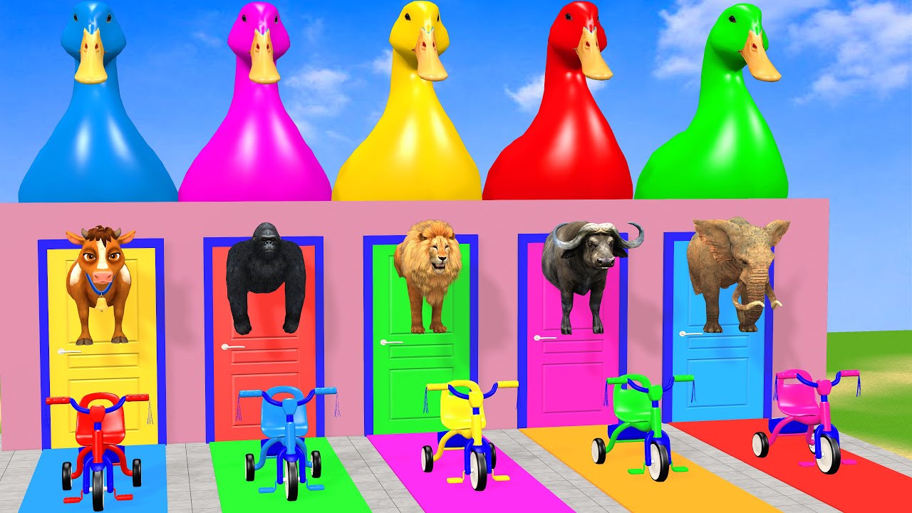 Long Slide Game with Cow Elephant Gorilla Hippopotamus Tiger 3d Animal Game Funny 3d Animals