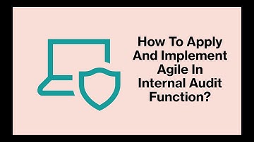 Agile Auditing