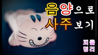 음양으로 사주보기 - 피클명리