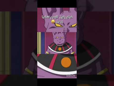 دراغون بول غوكو يقول للزعيم تشامبا برميل