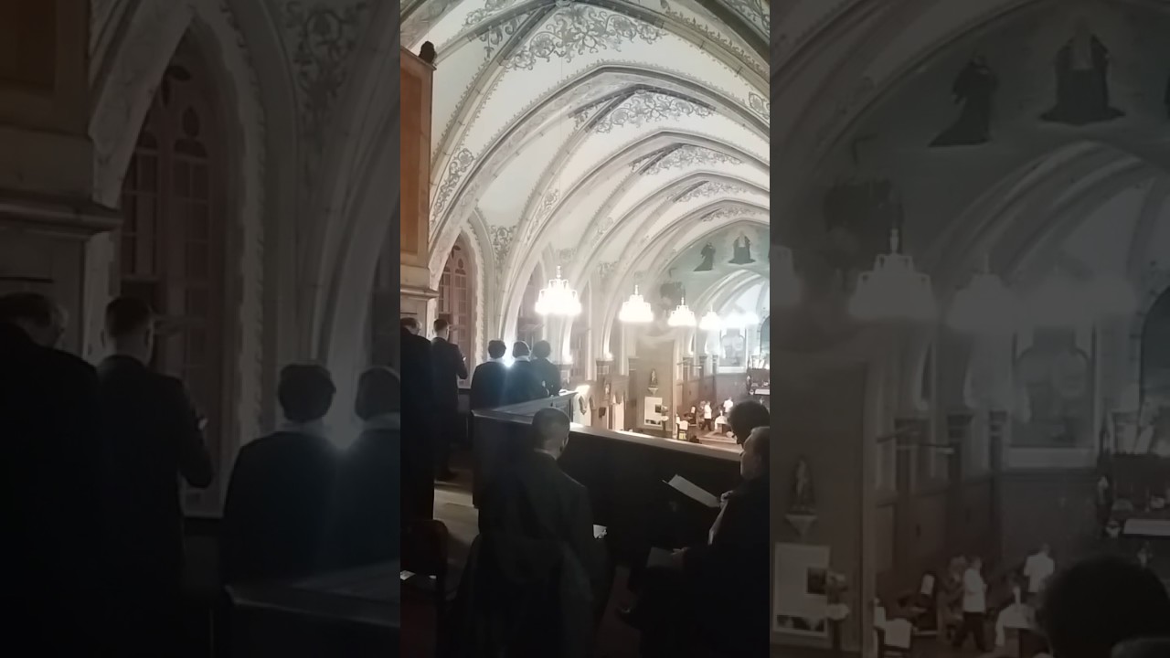 Watch Ave Maria (Schubert) - Coral Vox on YouTube Watch Ave Maria (Schubert) - Coral Vox on YouTube
