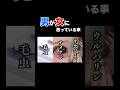男が普段思っていることです。#チリトマ大地 #男女 #男女の友情 #男女の違い #すべらない話 #あーるぴーじー