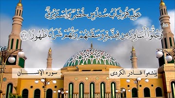 سورة الانسان خاشعة القارئ بيشةو قادر الكردى