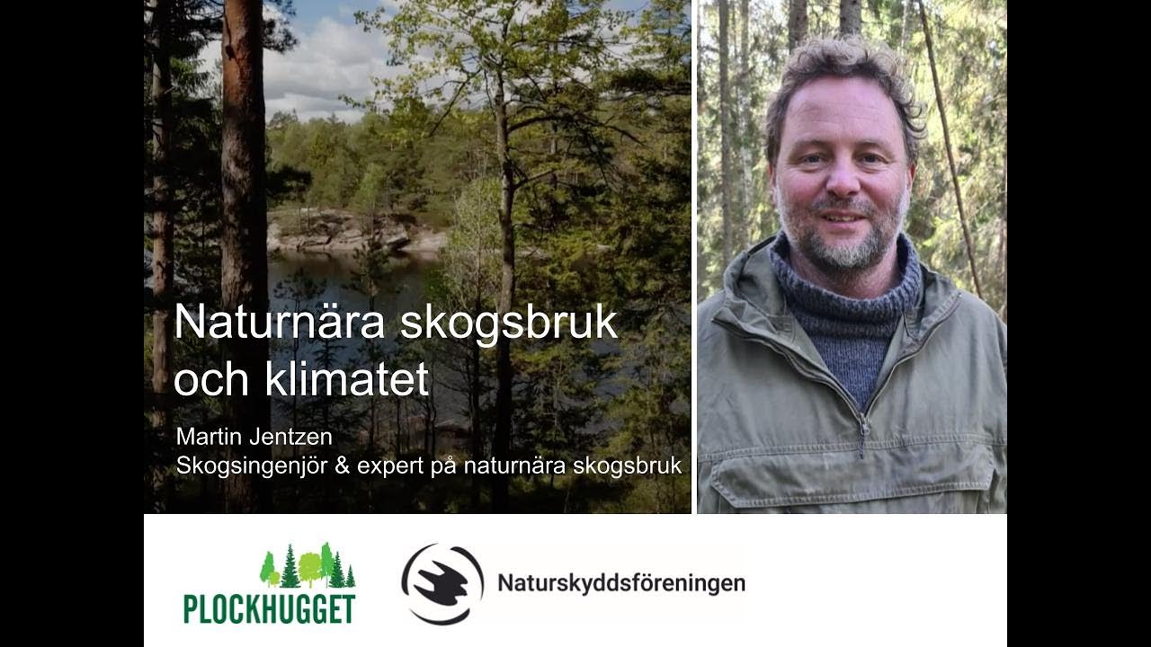 Naturnra skogsbruk och klimatet