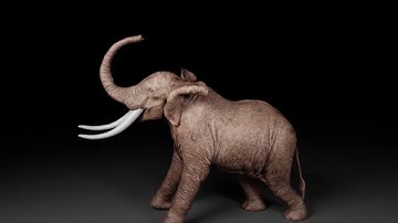 A Constraint-based Formulation of Stable Neo-Hookean Materials