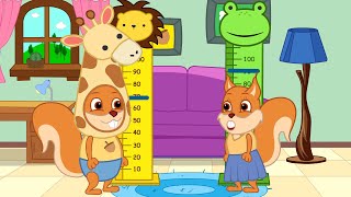 Bridie Squirrel in English  Measure Your Height Cartoon for Kids