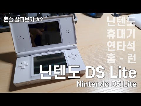 닌텐도의 휴대기 연타석 홈런, 황금기의 주인공 | 닌텐도 DS 리뷰