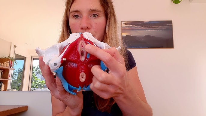 Lezbiyen jinsiy aloqani onlayn tomosha qiling