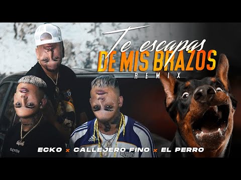 ECKO, Callejero Fino, El Perro - Te Escapas De Mis Brazos (Remix) (Video  Oficial) 