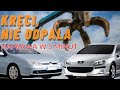 KRĘCI, NIE ODPALA -  PEUGEOT 407 307 CITROEN C4 C5 awaria bsi bsm pompa paliwa - NAPRAWA W 5 MINUT