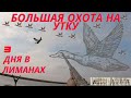 ОХОТА НА УТКУ! 3 ДНЯ В ЛИМАНАХ..