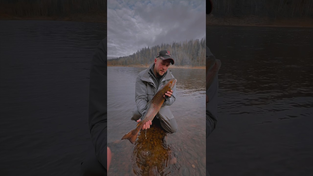 Возвращаю бойца домой 🎣 