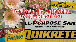 Chia sẽ cách Trồng Hoa Cẩm Tú Cầu Hoa Quỳnh Hoa Sen Đá