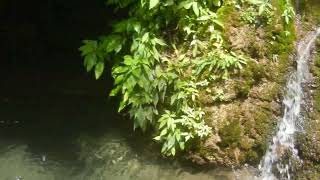 DSCN1770...2025.4.14.1318...