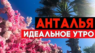 Анталья. Идеальное утро пакетного туриста в Турции